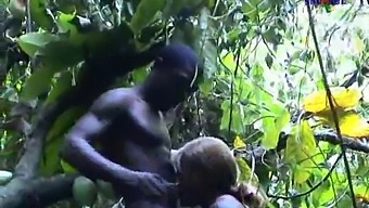 Interracial Gangbang Action In African City