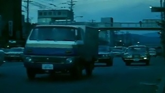 A Trip To Japan In 1973: A Vintage Travelogue