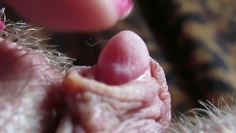 Intense Focus On My Enormous Clitoris Head Throbbing