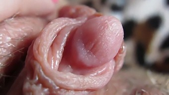Intense Closeup Of My Throbbing And Large Clitoris